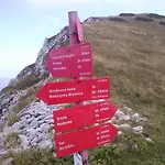 Tubej