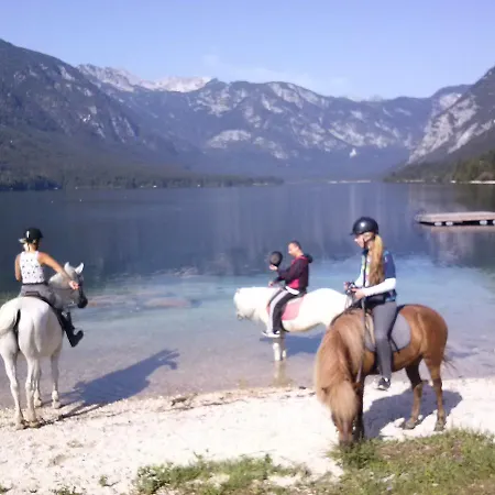 Apartman Tubej Bohinji-tó