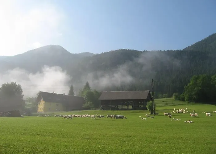 アパート Tubej ボーヒニ