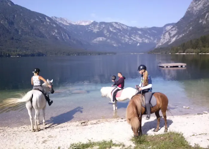 Appartement Tubej Bohinj